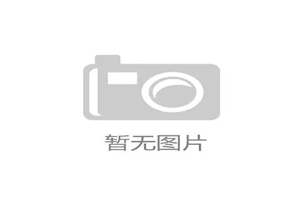 上海海港发布2025年度财报，实现扭亏为盈，商业赞助增长三成