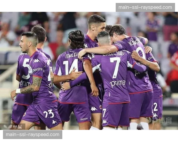 沙特公共投资基金（PIF）对纽卡斯尔联的追加投资计划遇阻