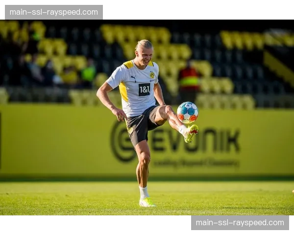 独家专访多特蒙德CEO：俱乐部独立流媒体平台的愿景与挑战